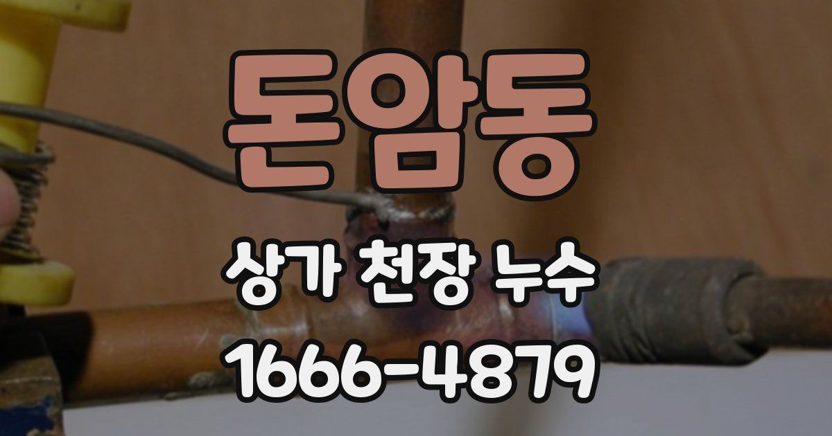 돈암동 상가 천장 누수