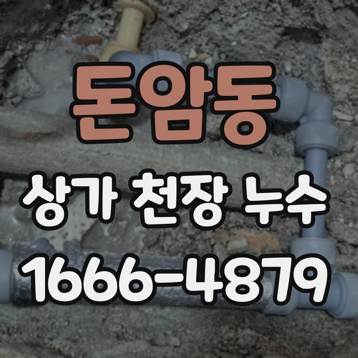 돈암동 상가 천장 누수