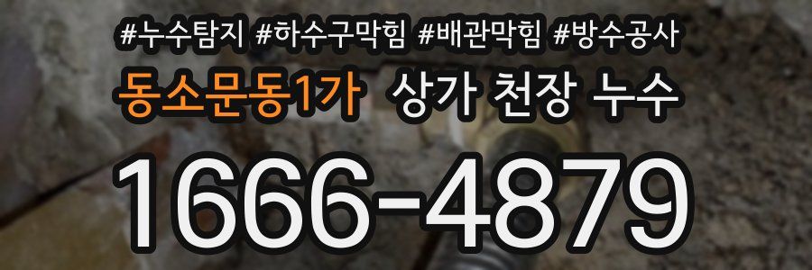 동소문동1가 상가 천장 누수