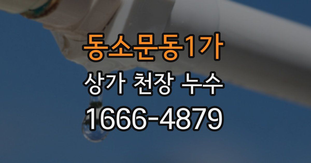 동소문동1가 상가 천장 누수