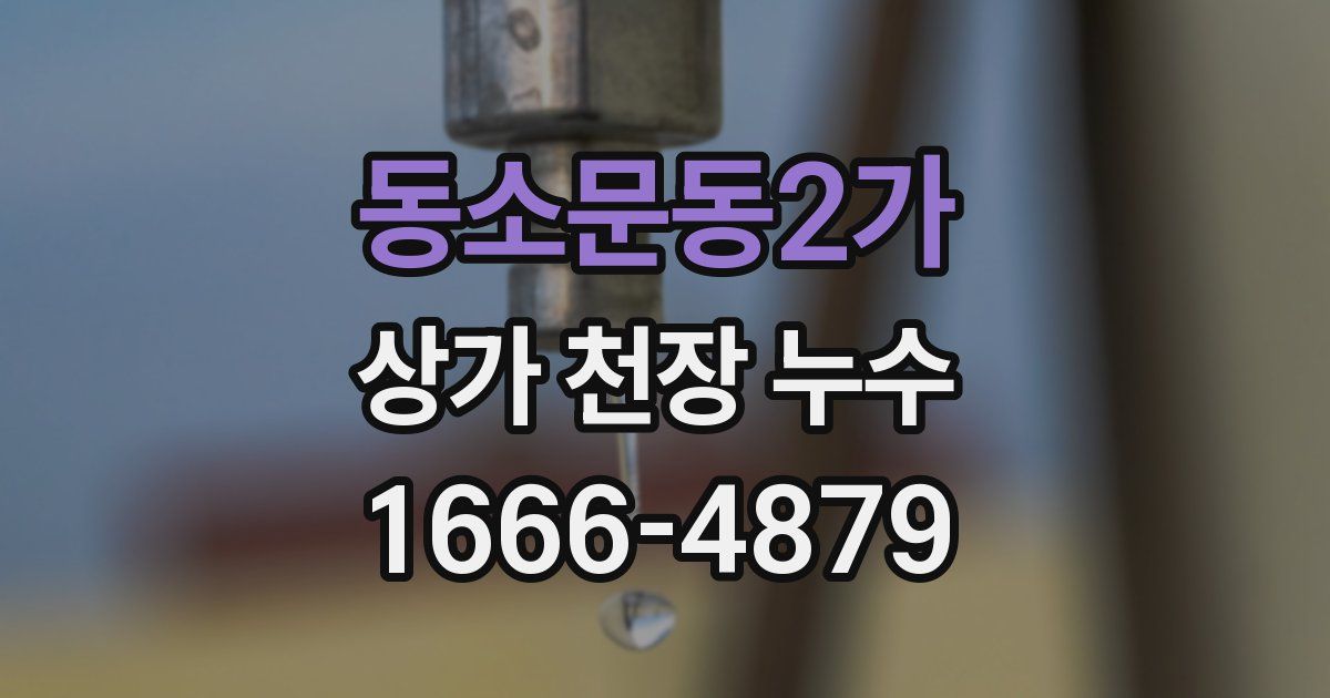동소문동2가 상가 천장 누수