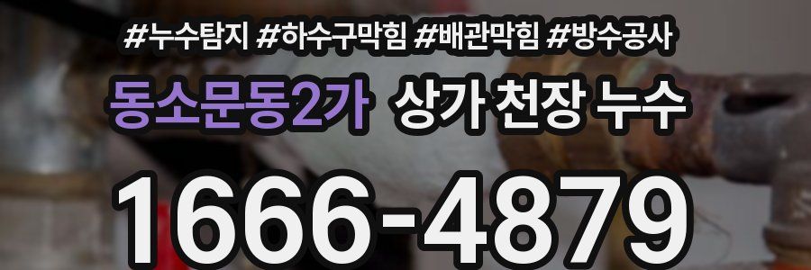 동소문동2가 상가 천장 누수