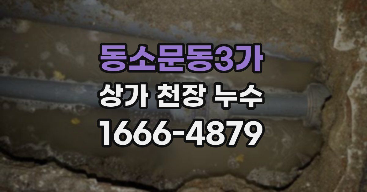 동소문동3가 상가 천장 누수
