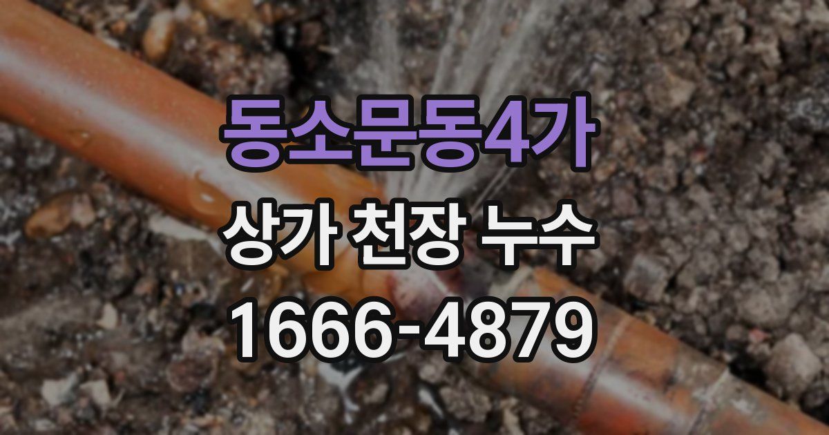 동소문동4가 상가 천장 누수