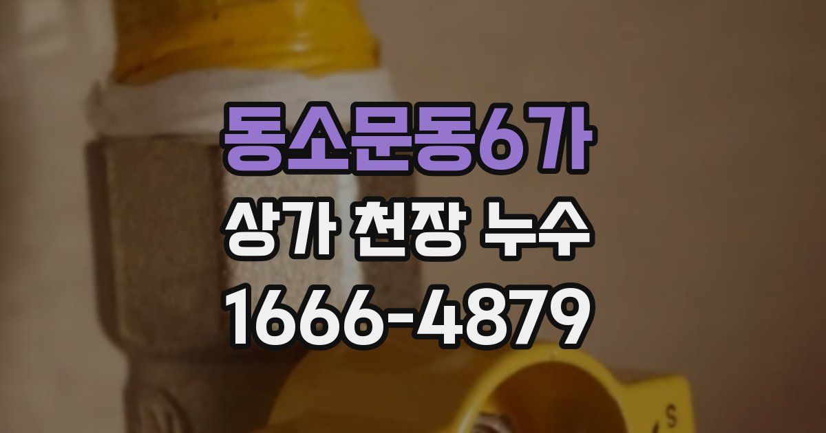 동소문동6가 상가 천장 누수