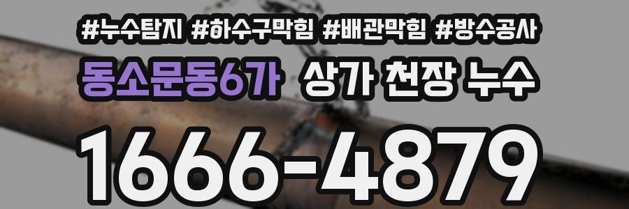 동소문동6가 상가 천장 누수