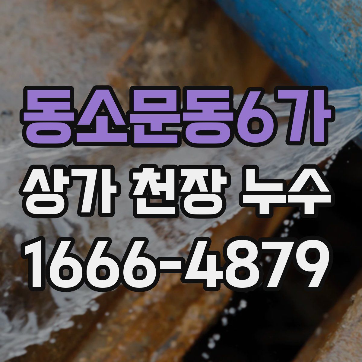 동소문동6가 상가 천장 누수