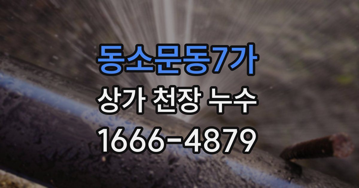 동소문동7가 상가 천장 누수