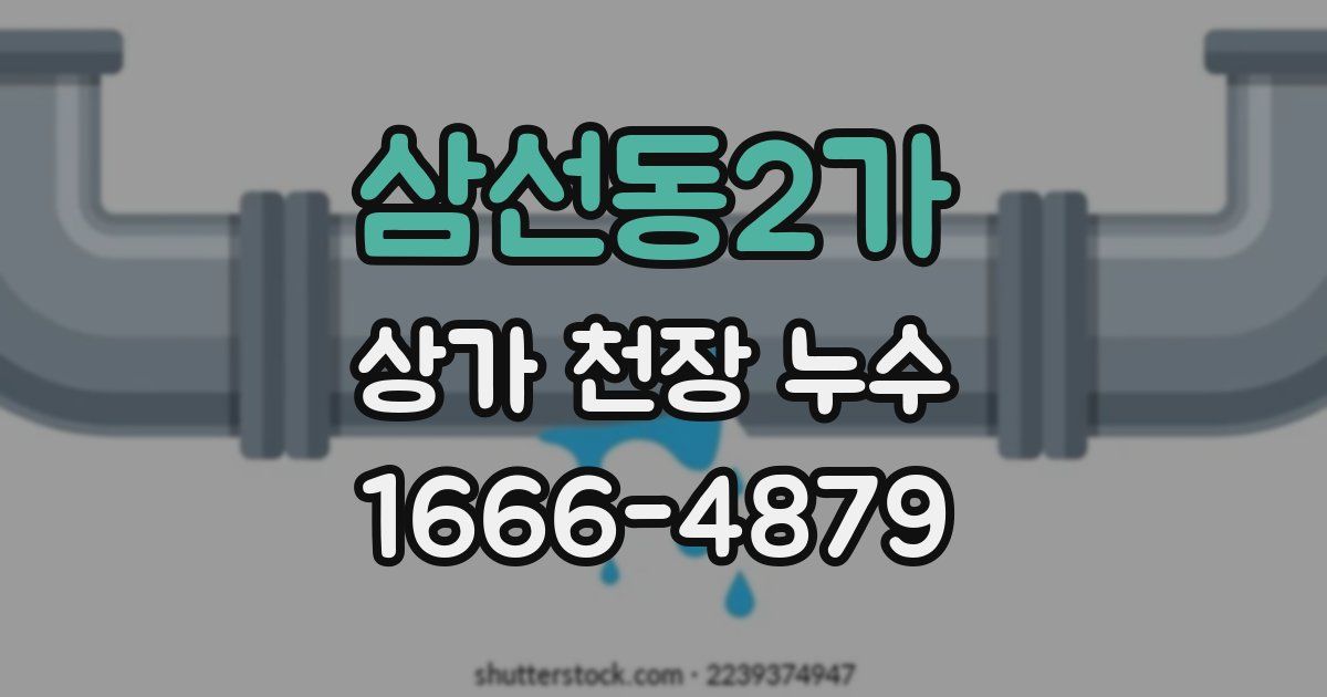 삼선동2가 상가 천장 누수