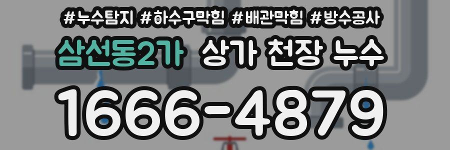 삼선동2가 상가 천장 누수