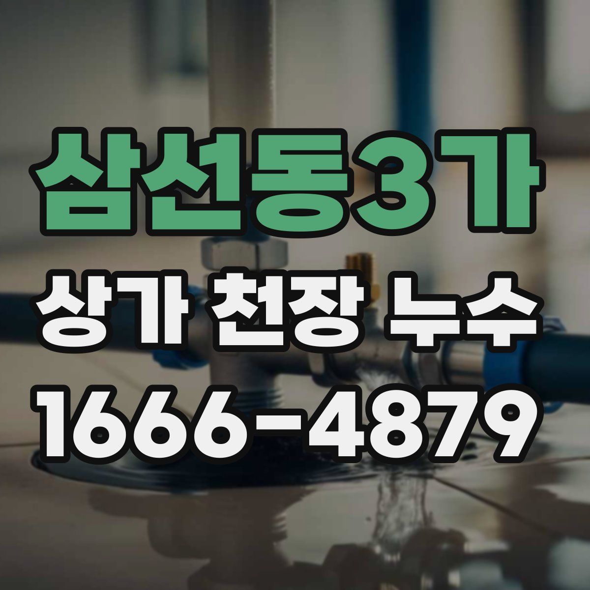 삼선동3가 상가 천장 누수