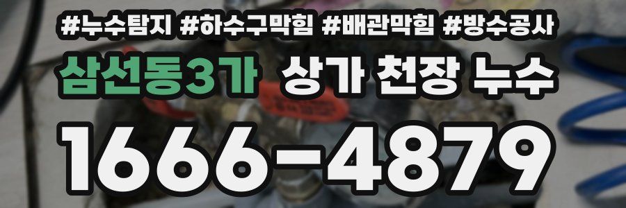 삼선동3가 상가 천장 누수