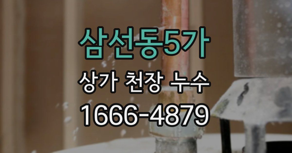 삼선동5가 상가 천장 누수
