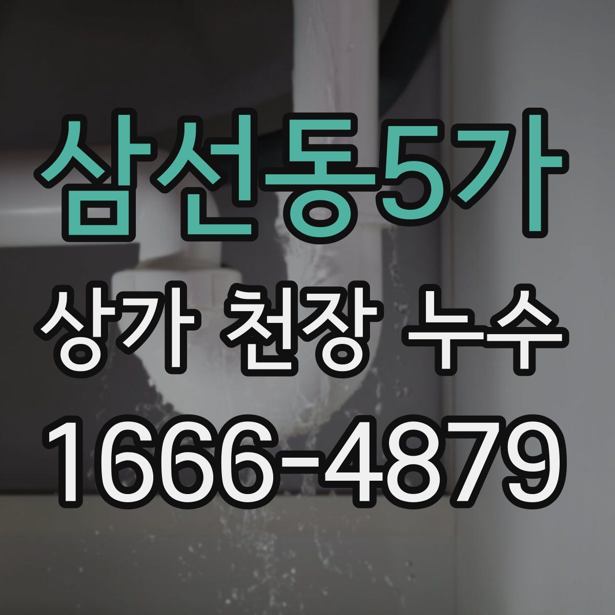 삼선동5가 상가 천장 누수
