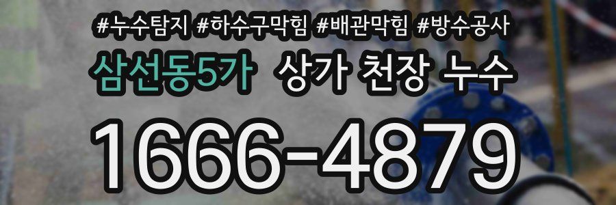 삼선동5가 상가 천장 누수