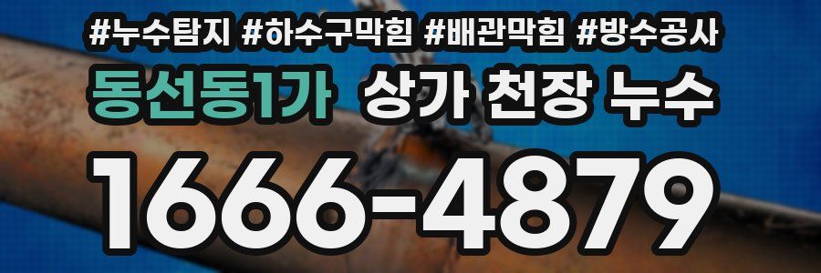 동선동1가 상가 천장 누수