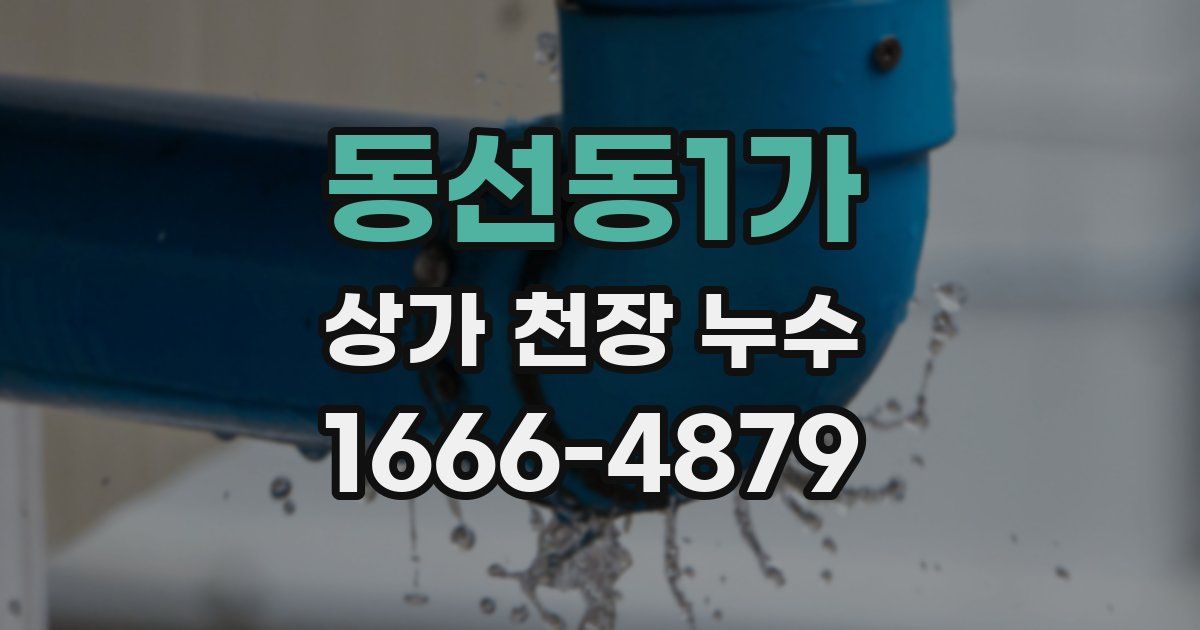 동선동1가 상가 천장 누수