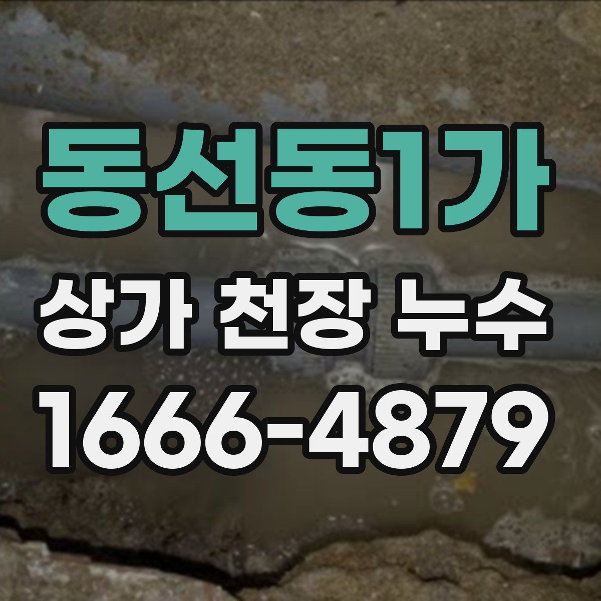 동선동1가 상가 천장 누수