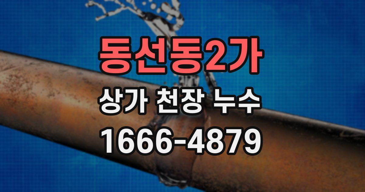 동선동2가 상가 천장 누수