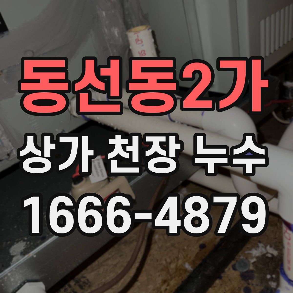 동선동2가 상가 천장 누수