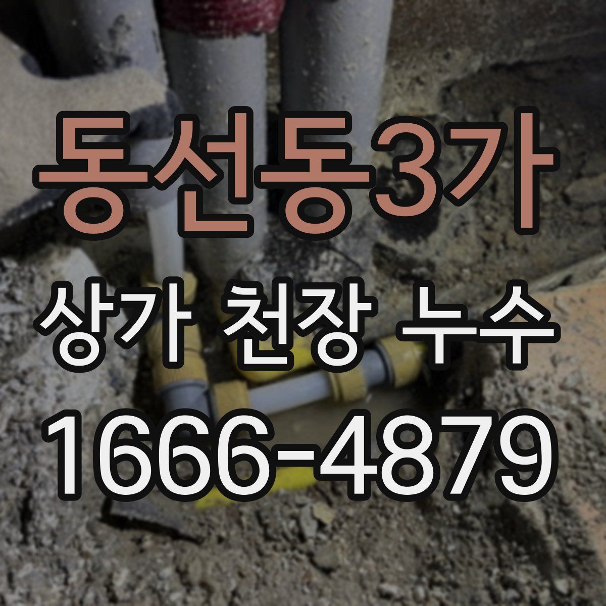동선동3가 상가 천장 누수