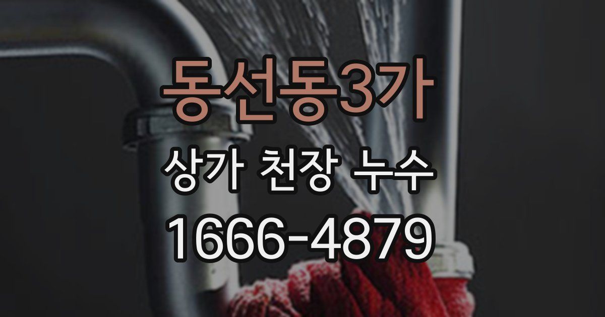 동선동3가 상가 천장 누수