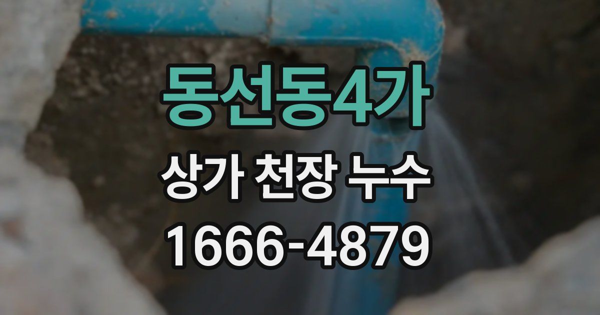 동선동4가 상가 천장 누수