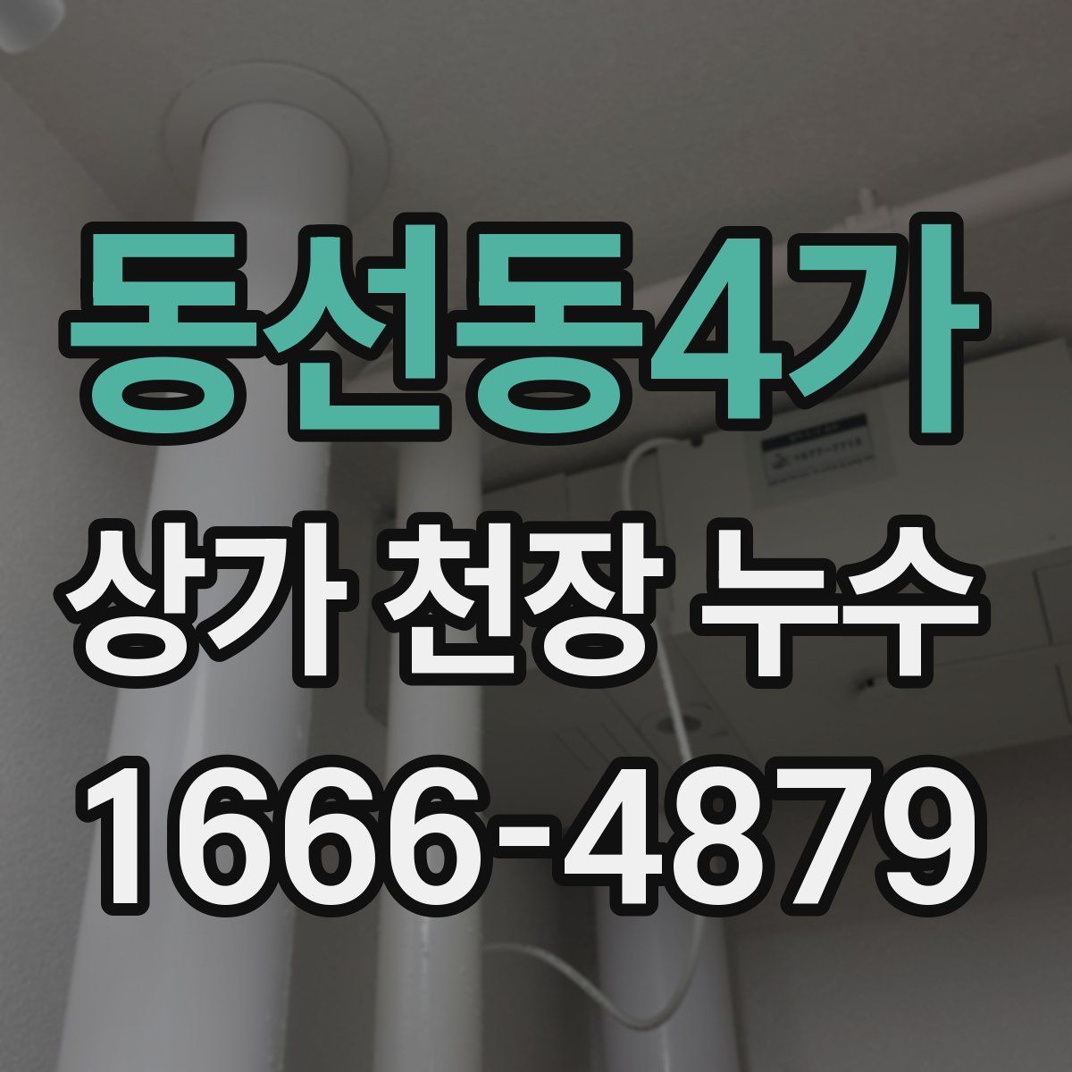동선동4가 상가 천장 누수