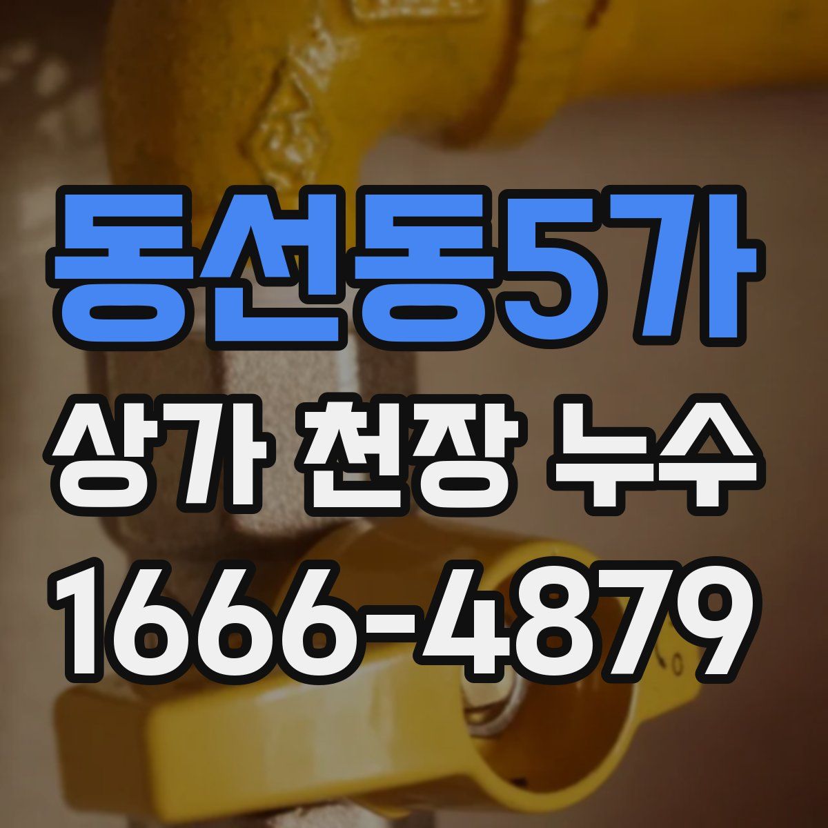 동선동5가 상가 천장 누수