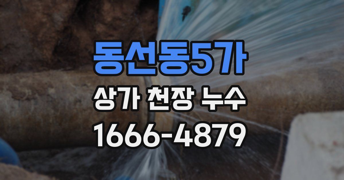 동선동5가 상가 천장 누수