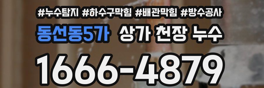 동선동5가 상가 천장 누수
