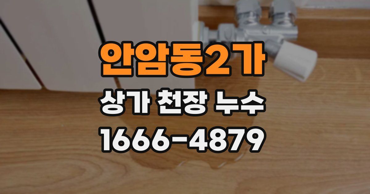 안암동2가 상가 천장 누수