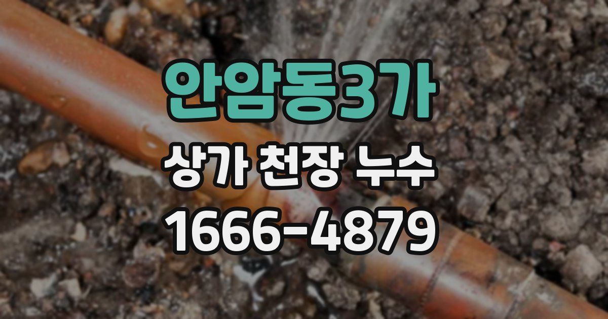안암동3가 상가 천장 누수