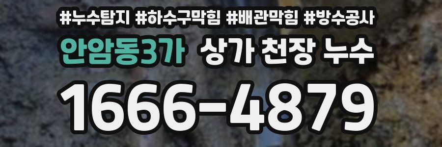 안암동3가 상가 천장 누수