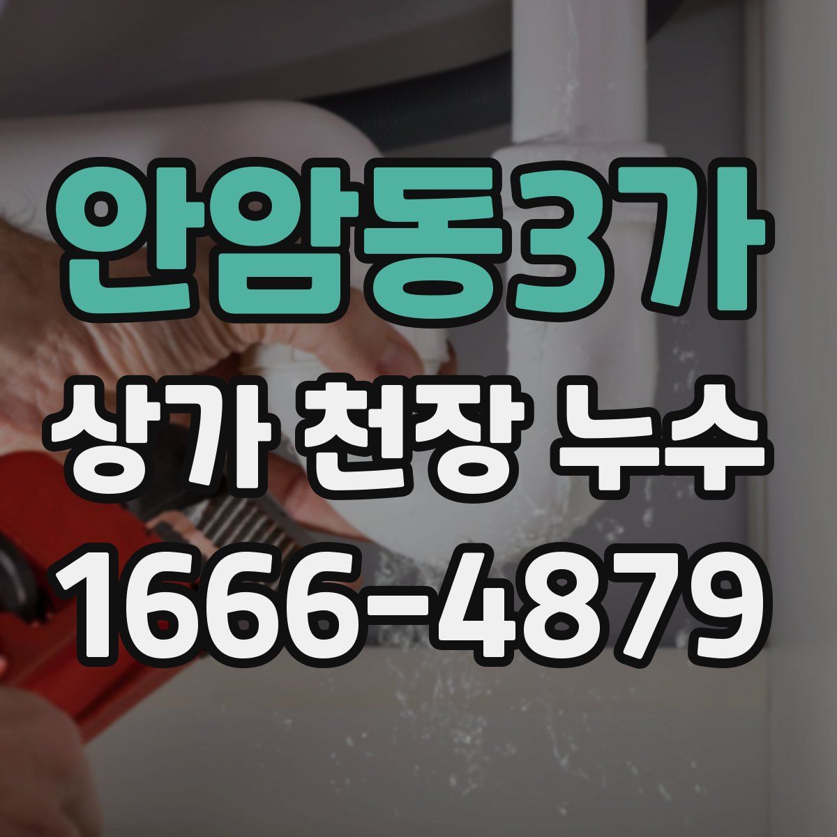 안암동3가 상가 천장 누수