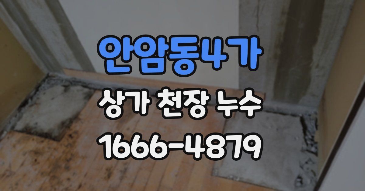 안암동4가 상가 천장 누수