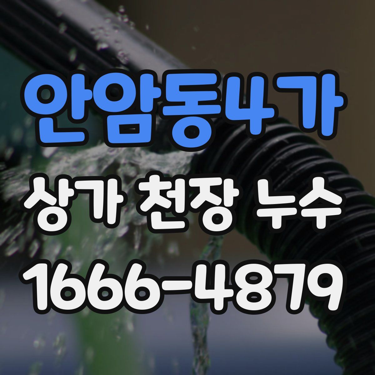 안암동4가 상가 천장 누수