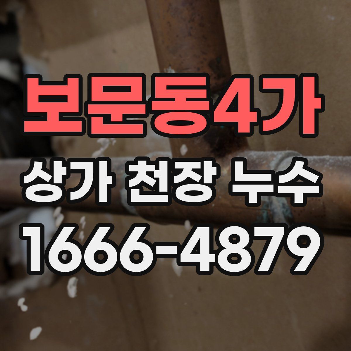 보문동4가 상가 천장 누수