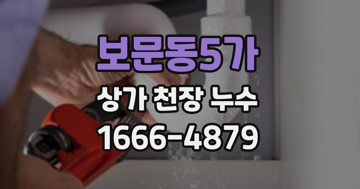 보문동5가 상가 천장 누수