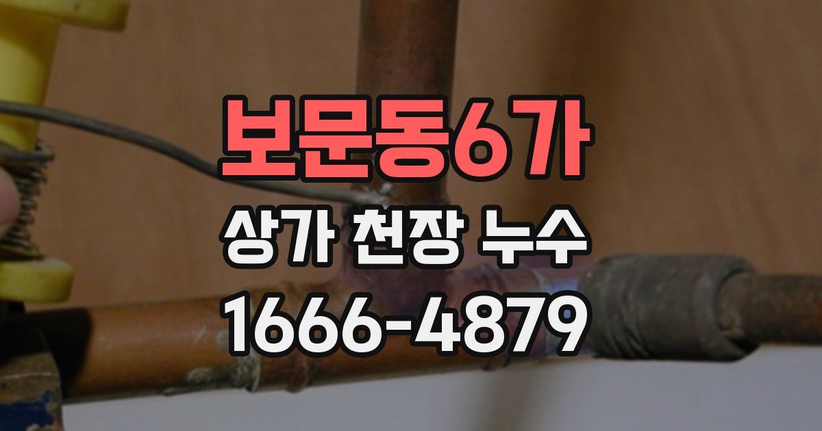 보문동6가 상가 천장 누수
