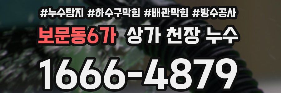 보문동6가 상가 천장 누수