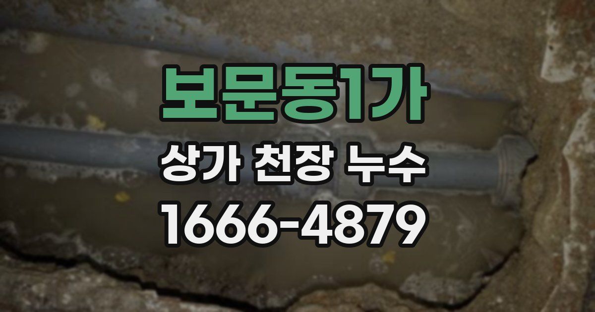 보문동1가 상가 천장 누수