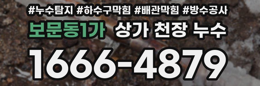 보문동1가 상가 천장 누수