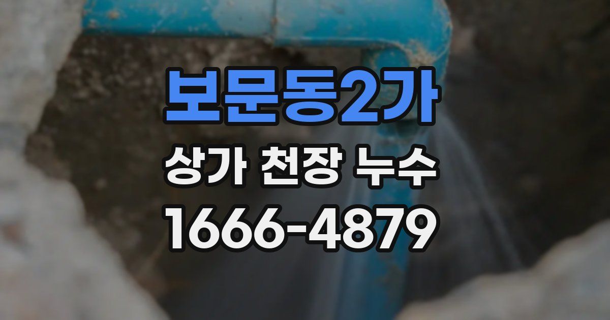 보문동2가 상가 천장 누수