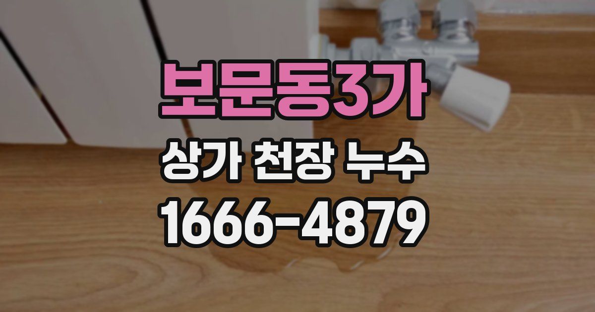 보문동3가 상가 천장 누수