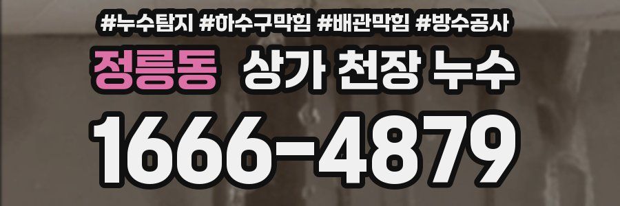 정릉동 상가 천장 누수