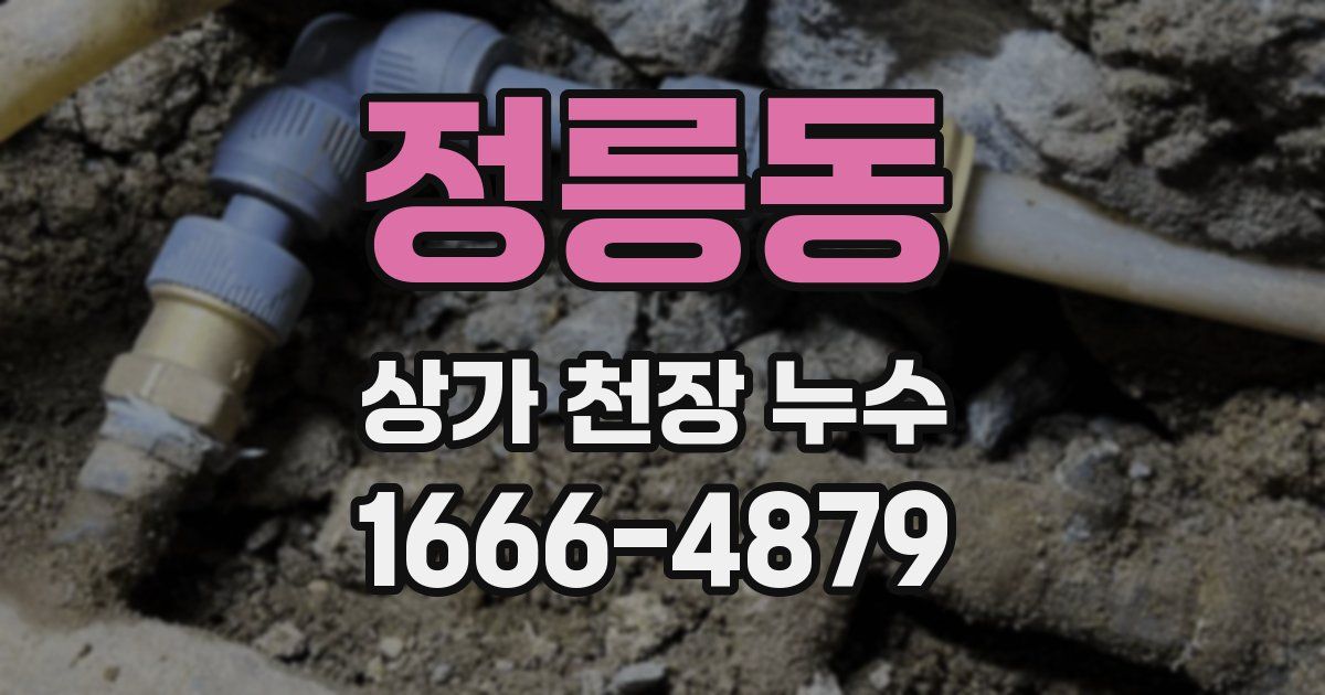 정릉동 상가 천장 누수