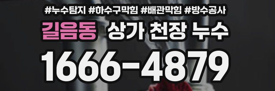길음동 상가 천장 누수