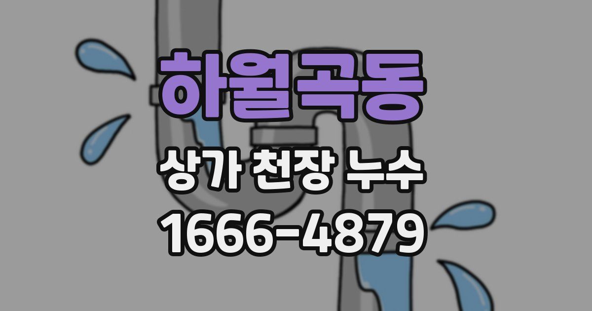 하월곡동 상가 천장 누수