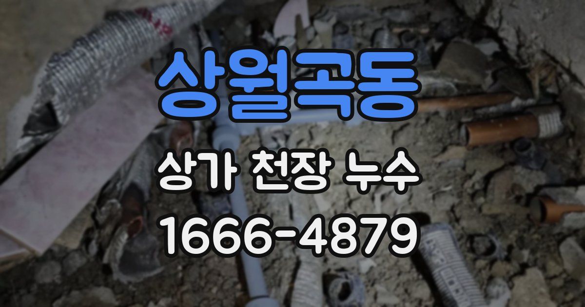 상월곡동 상가 천장 누수